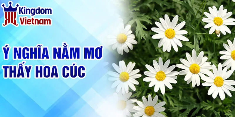 Nằm Mơ Thấy Hoa Cúc: Giải Mã Những Thông Điệp Từ Tâm Linh 2 Ý nghĩa nằm mơ thấy hoa cúc