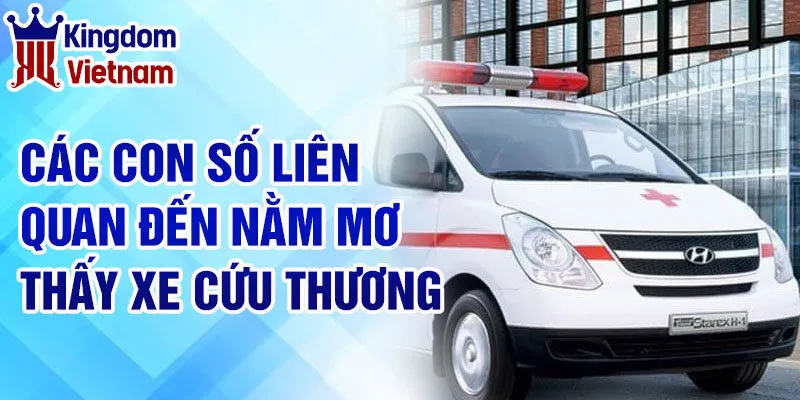 Nằm Mơ Thấy Xe Cứu Thương: Dự Đoán Vận May Và Cảnh Báo 3 Các con số liên quan đến nằm mơ thấy xe cứu thương
