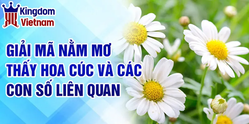 Nằm Mơ Thấy Hoa Cúc: Giải Mã Những Thông Điệp Từ Tâm Linh 3 Giải mã nằm mơ thấy hoa cúc và các con số liên quan