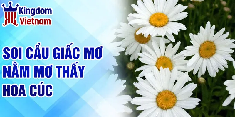 Nằm Mơ Thấy Hoa Cúc: Giải Mã Những Thông Điệp Từ Tâm Linh 4 Soi cầu giấc mơ nằm mơ thấy hoa cúc