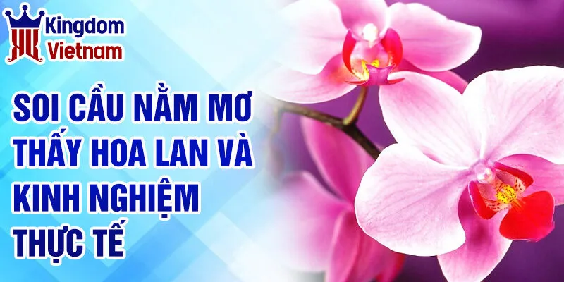 Nằm Mơ Thấy Hoa Lan: Giải Mã Giấc Mơ và Con Số Liên Quan 4 Soi cầu nằm mơ thấy hoa lan và kinh nghiệm thực tế